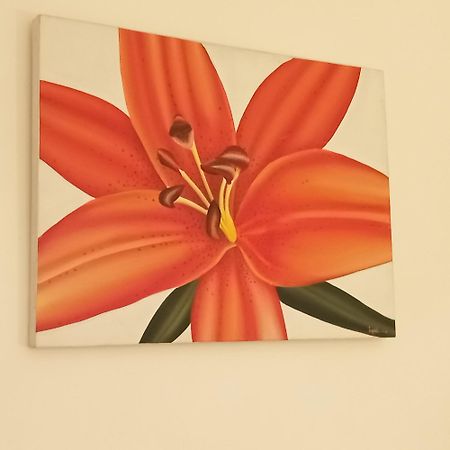 Appartement Croisette Sainte-Maxime Bagian luar foto